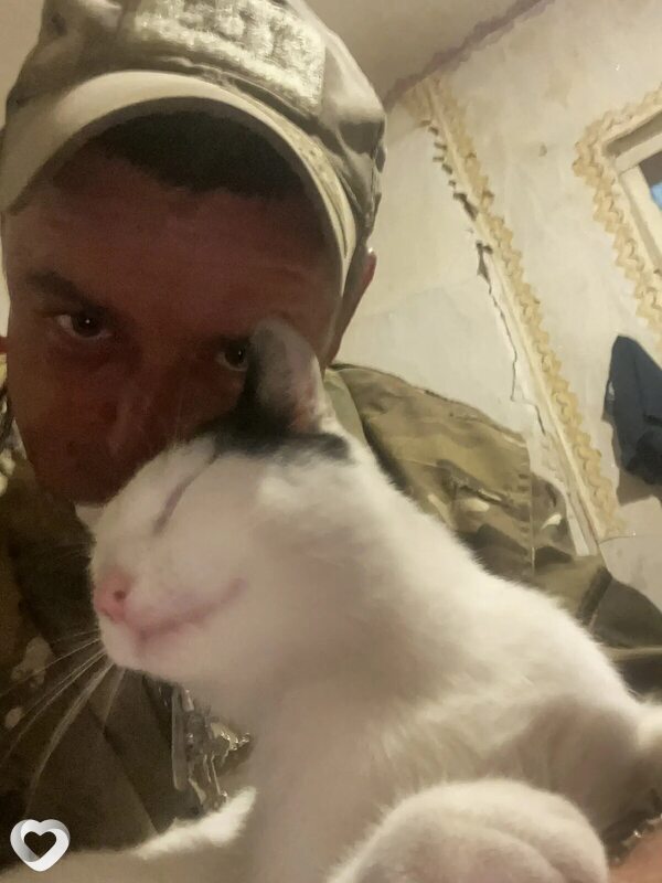 Иван, 40, Ростове-на-Дону — анкета №4350590