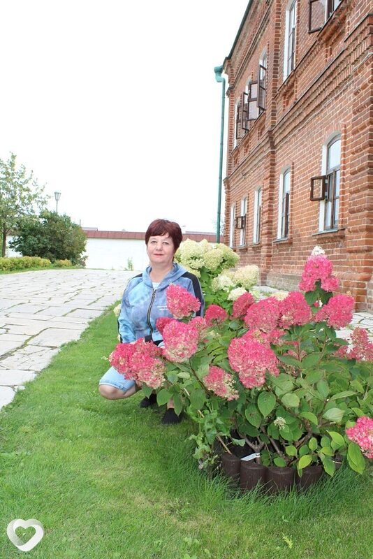 Людмила, 49, Димитровграде — анкета №4353490