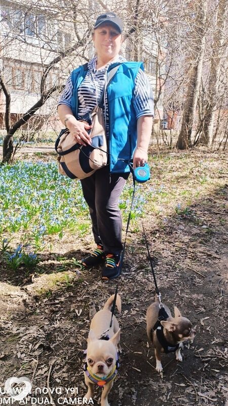 Лариса, 56, Иванове — анкета №4356694