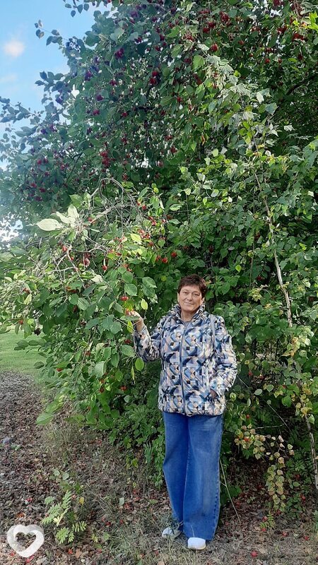Светлана, 63, Тюмени — анкета №4358890