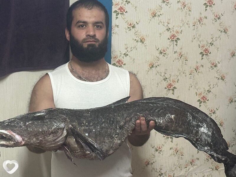 Али, 29, Новосибирске — анкета №4368796
