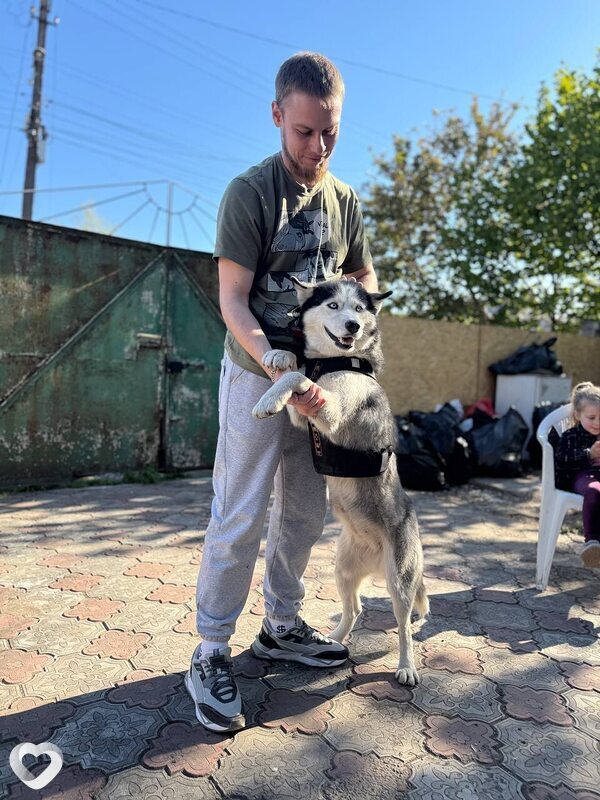 Владимир, 29, Кривое Роге — анкета №4370091