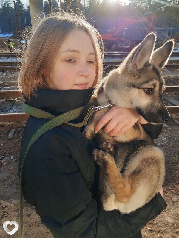 Виктория, 18, Твери — анкета №4371050