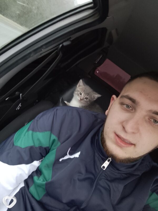 Александр, 31, Елабуге — анкета №4373040