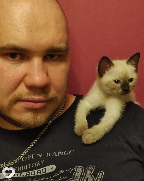 Дмитрий, 40, Москве — анкета №4372945