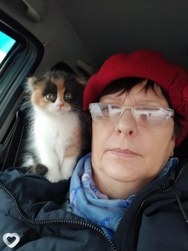 Валентина, 66, Волгограде — анкета №4376514