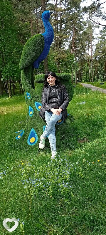 Светик, Верхнедвинск
