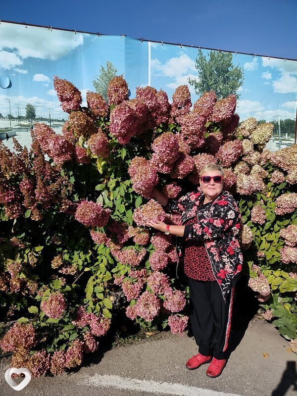 Галина, 56, Тольятти — анкета №4377801
