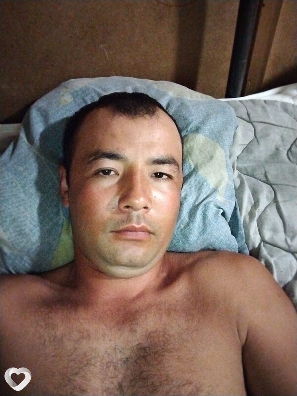 Бахром, Фрязино