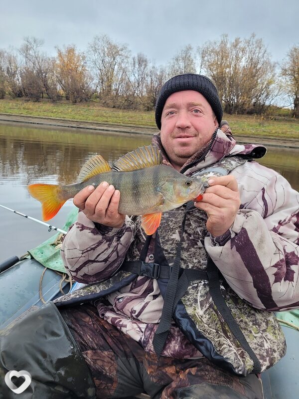 Юрий, 45, Екатеринбурге — анкета №4386460