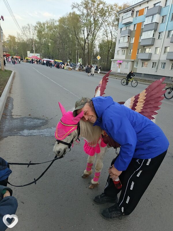 Андрей, Сокол