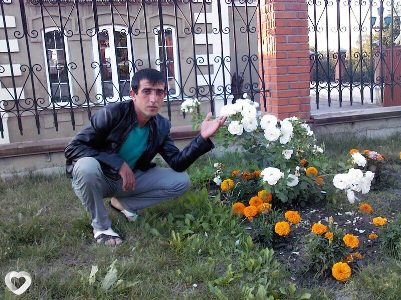 Дмитрий, Полтавская