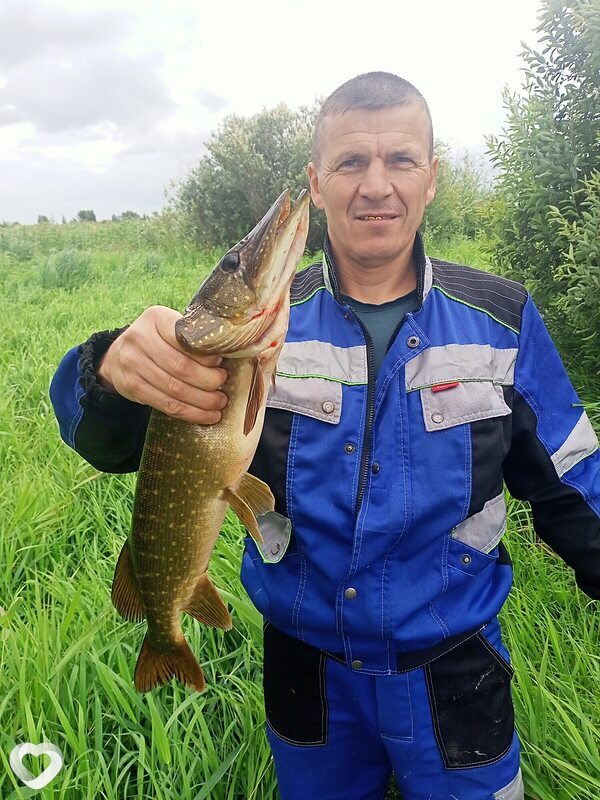 Анатолий, 41, Алейске — анкета №4399150