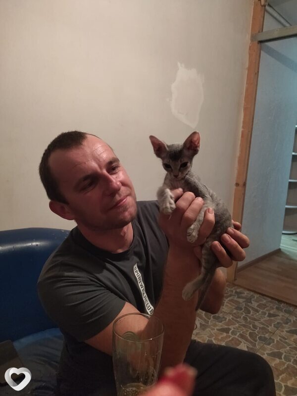 Санек, Ханская