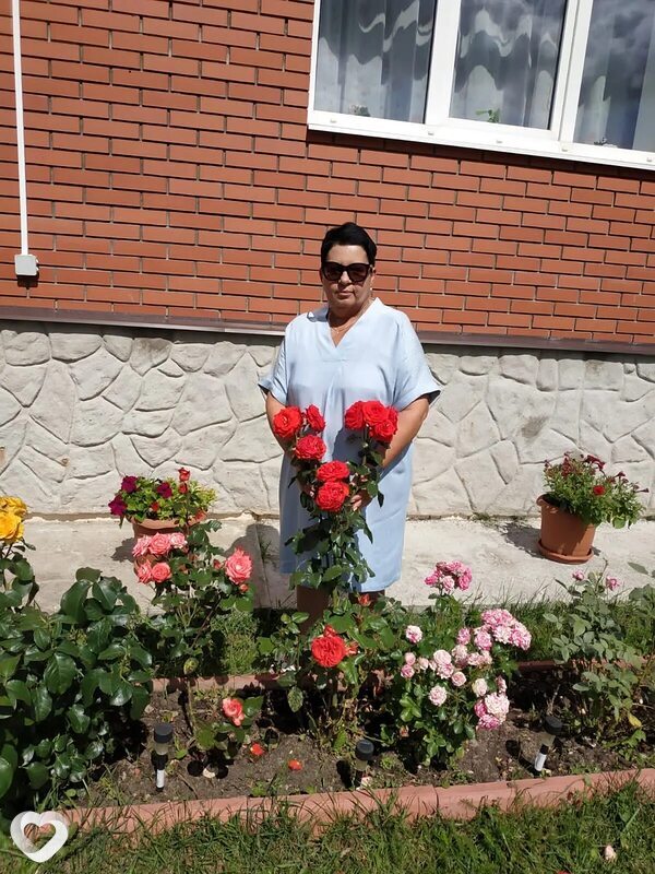 Елена, Зеленоград