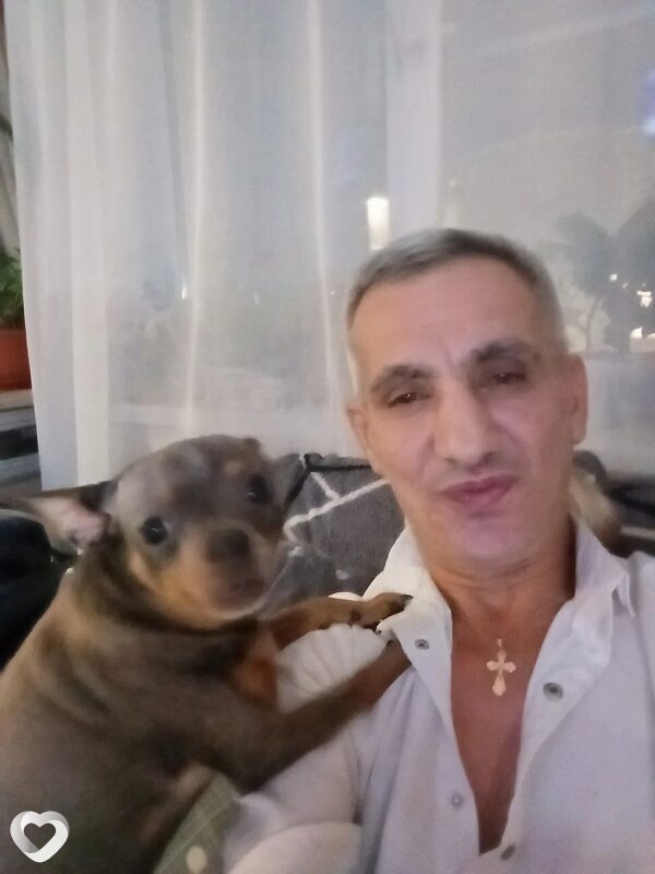 Мартин, Кострома