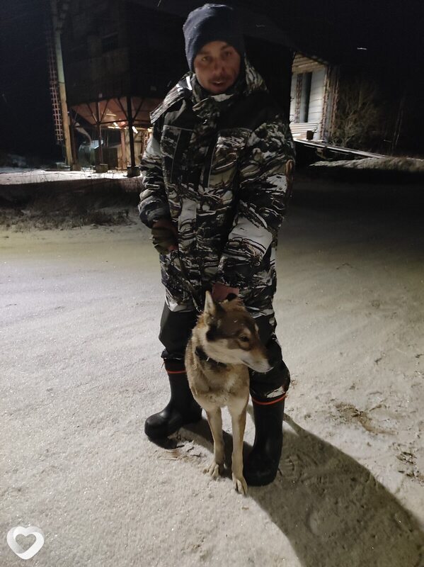 Николай, 42, Санкт-Петербурге — анкета №4412055