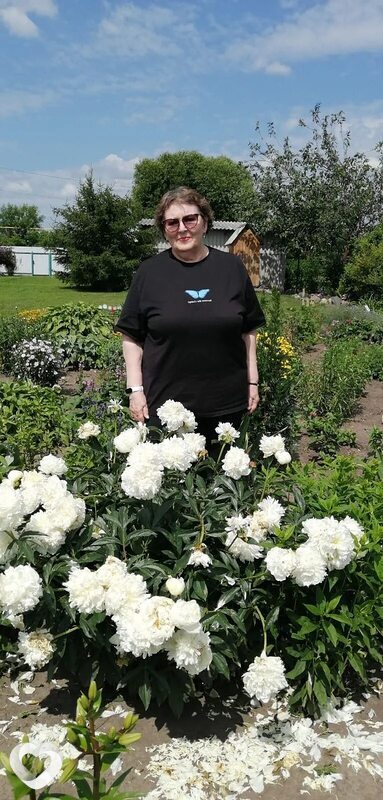 Наталья, 62, Новосибирске — анкета №4414362