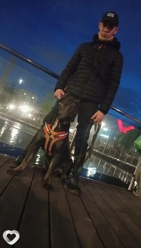Денис, 20, Уфе — анкета №4414918