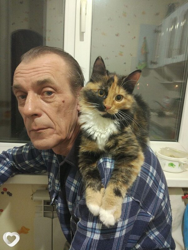Александр, 59, Перми — анкета №4416584