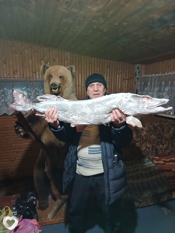 Сергей, 53, Ижевске — анкета №4420788