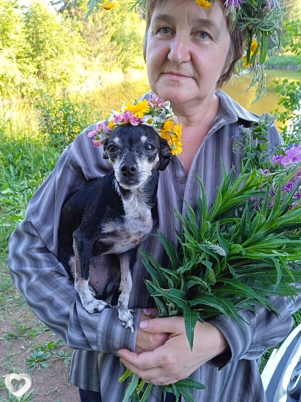 Ирина, 58, Перми — анкета №4422657
