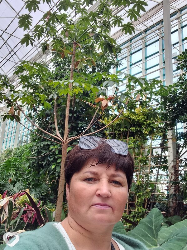 Elena, 51, Омске — анкета №4425178