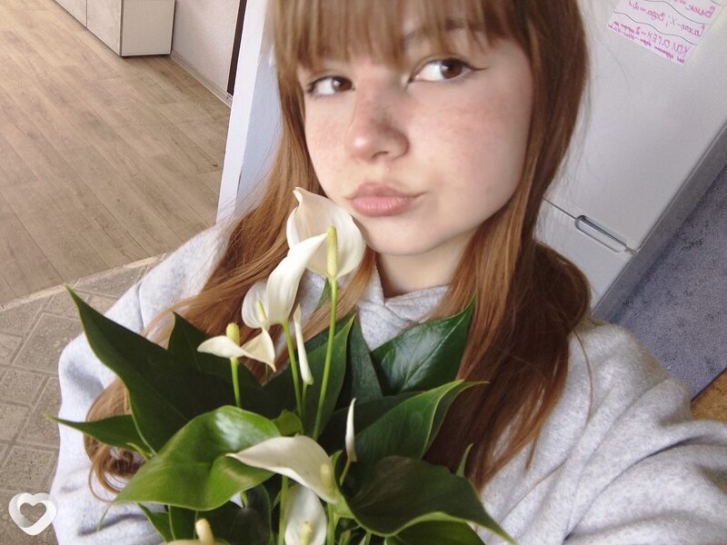 Bogdana, Любань