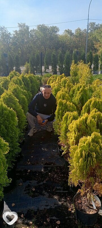 Дмитрий, 45, Самаре — анкета №4435344