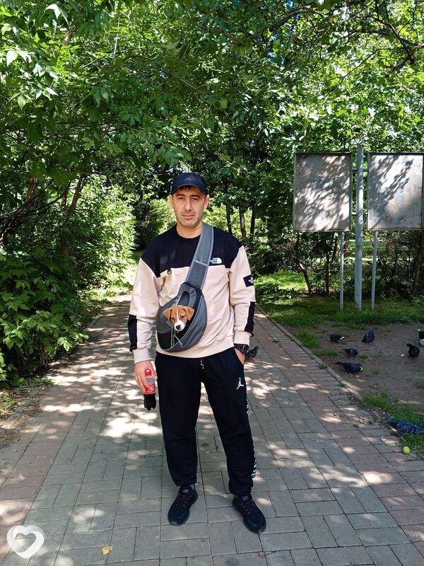 Иван, 42, Москве — анкета №4435867