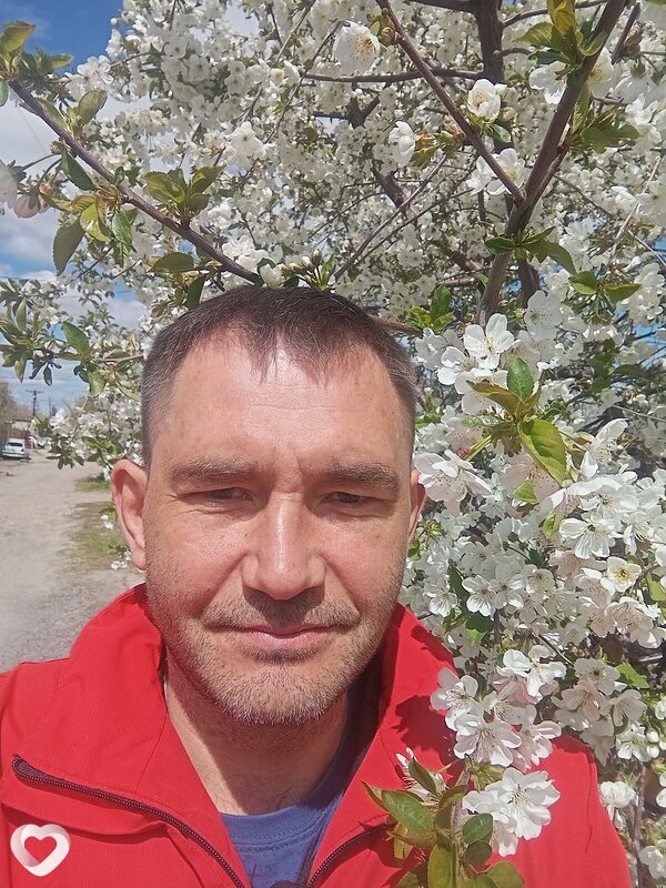 Владимир, 39, Волгограде — анкета №4441229