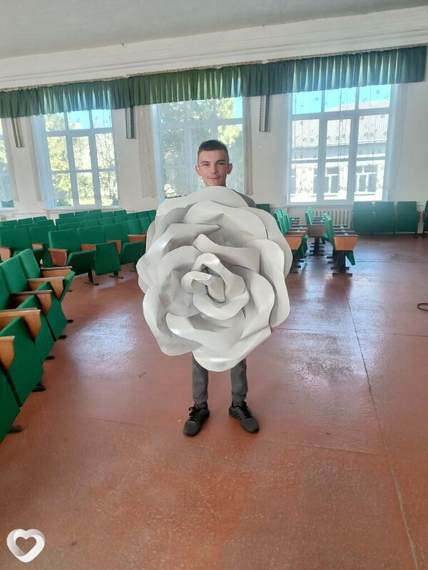 Коля, Вроцлав