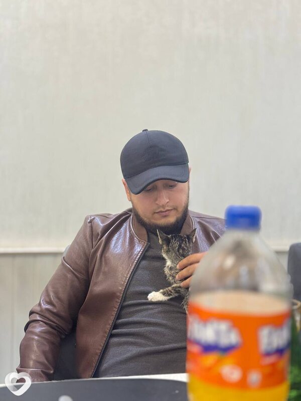 Али, 27, Норильске — анкета №4444129