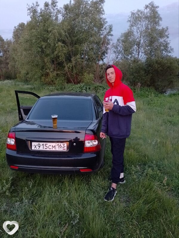 Роман, Кошки