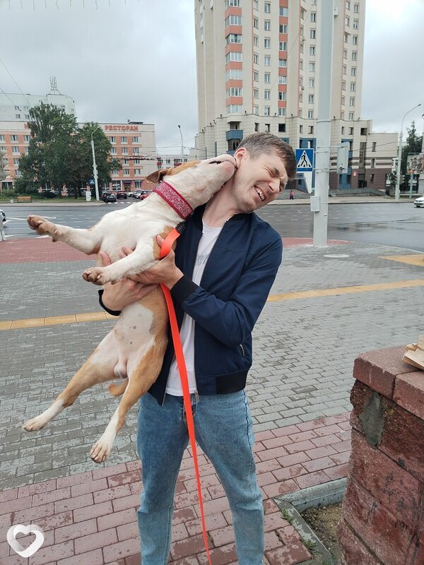 Александр, 35, Минске — анкета №4452347