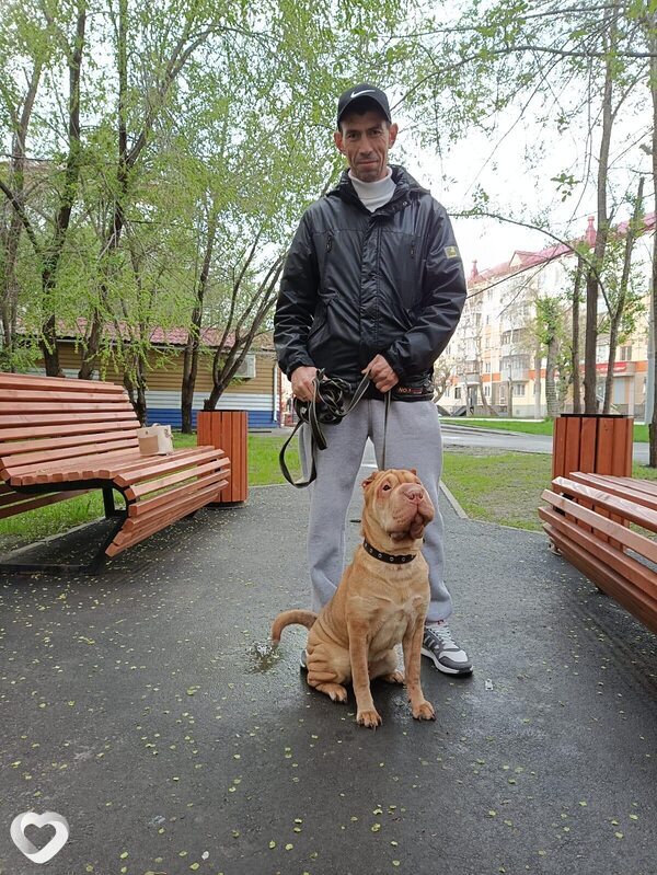 Артём, Курган