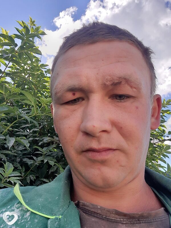 Рома, Ливны