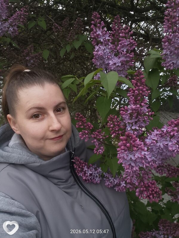Арина, Великий Новгород