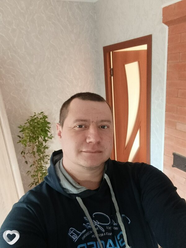 Илья, Хойники