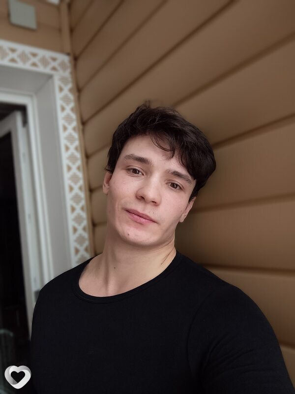 Лев, Дмитров