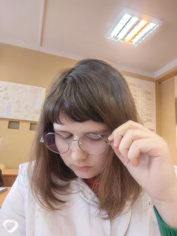 Лиза, Ярославль