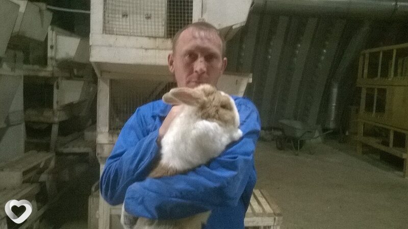 Дмитрий, 46, Волгограде — анкета №4481488