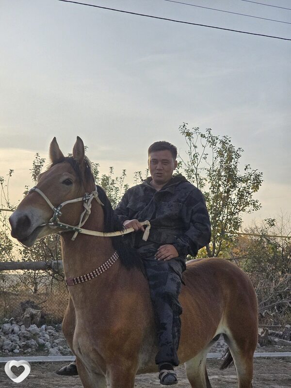 Нұрбол, 30, Астане — анкета №4491737