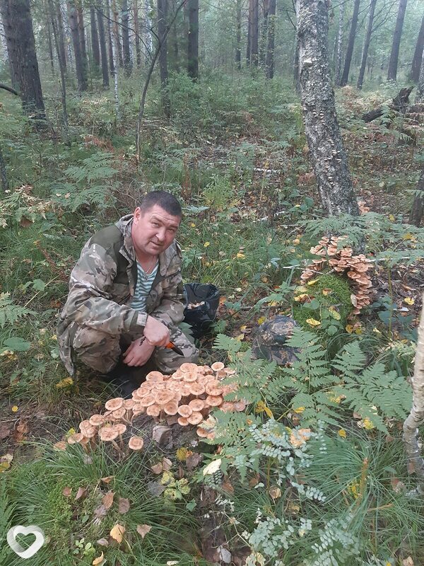 Андрей, 40, Канске — анкета №4503424