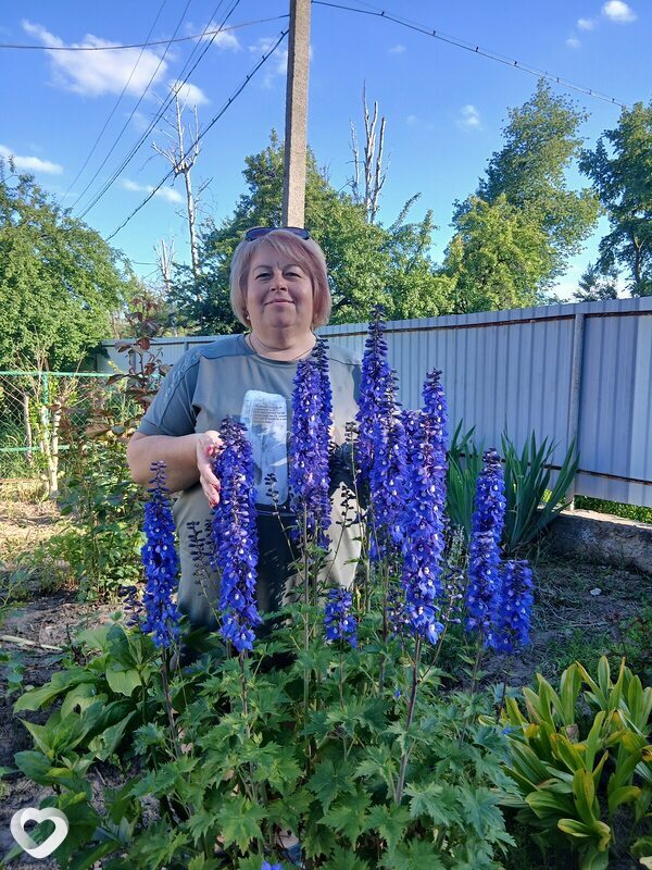 Віта, 51, Виннице — анкета №4503606