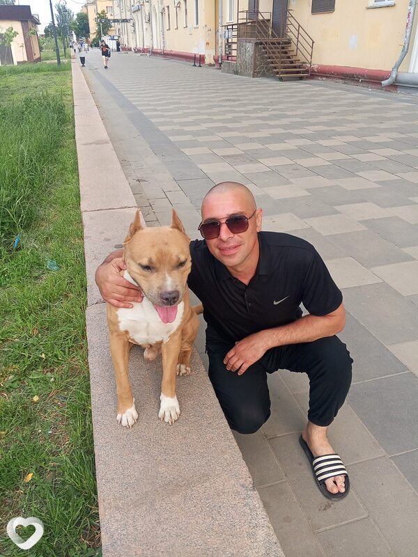 Миха, 40, Волгограде — анкета №4505841