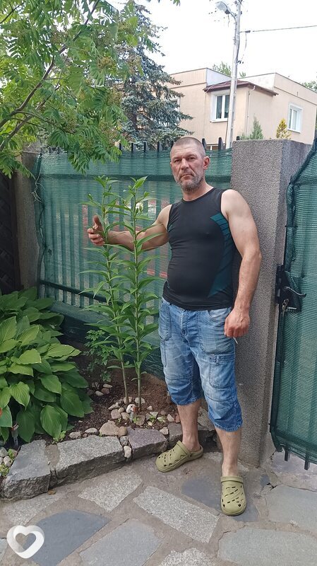 Микола, Познань