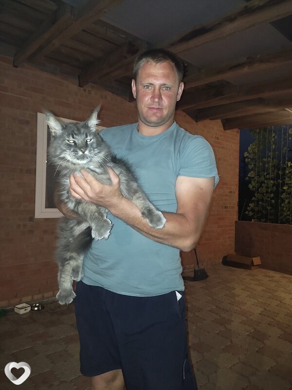 Евгений, Миллерово