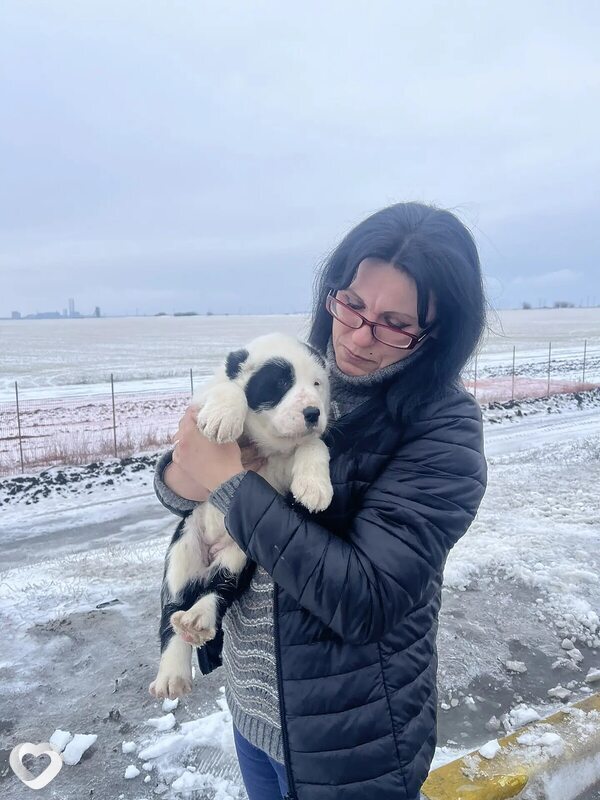 Ирина, 35, Шахтах — анкета №4510432