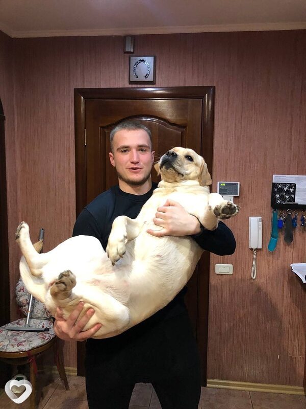 Иван, 23, Челябинске — анкета №4515027